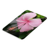 Roze Hibiscus Premium magneet (Linkerzijde)