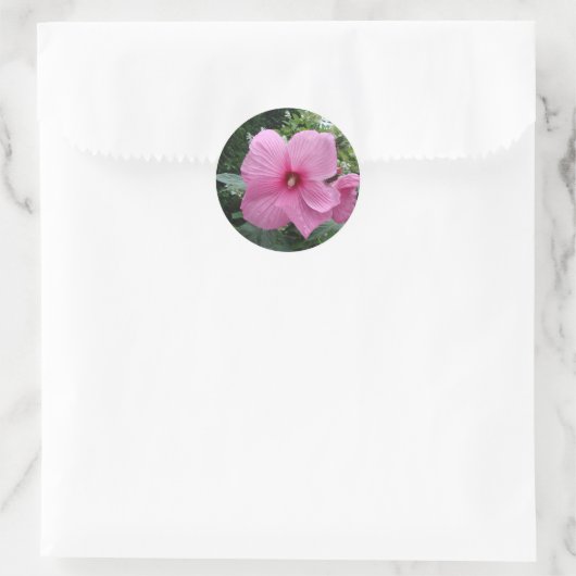 Roze Hibiscus Ronde Sticker (Tas)