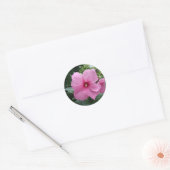Roze Hibiscus Ronde Sticker (Envelop)