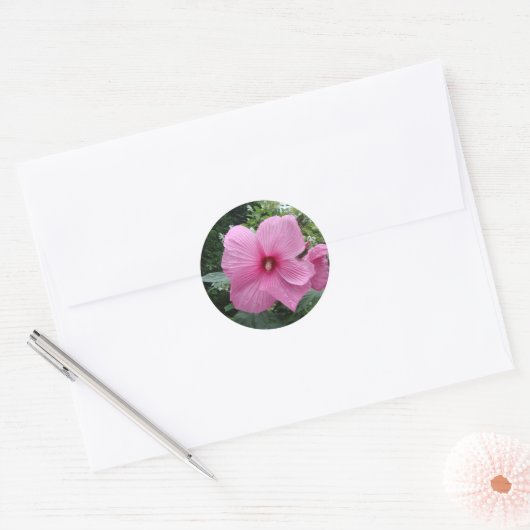 Roze Hibiscus Ronde Sticker (Envelop)