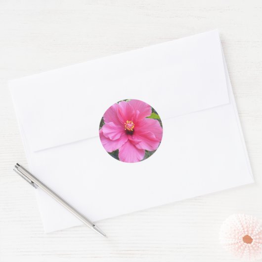 Roze Hibiscus stickers (Envelop)