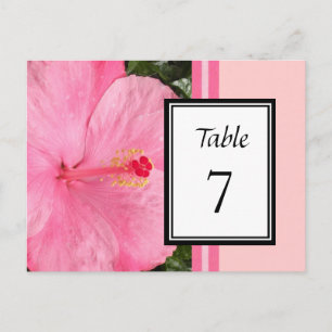 Roze Hibiscus tafel nummer Kaart