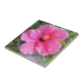 Roze Hibiscus tegel Tegeltje (Zijkant)