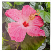  Roze Hibiscus Tegeltje (Voorkant)