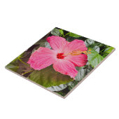 Roze Hibiscus Tegeltje (Zijkant)