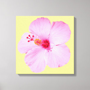 Roze Hibiscus Tropische Bloem Canvas Afdruk