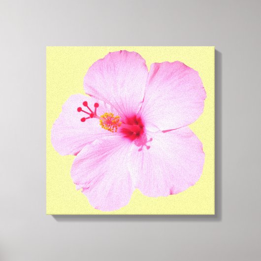Roze Hibiscus Tropische Bloem Canvas Afdruk (Voorkant)