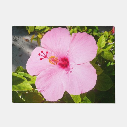 Roze Hibiscus Tropische Bloem Deurmat (Voorkant)