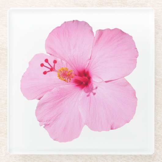 Roze Hibiscus Tropische Bloem Glazen Onderzetter (Voorkant)