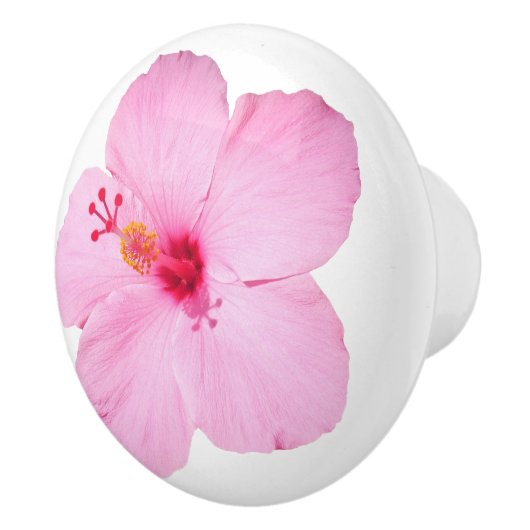 Roze Hibiscus Tropische Bloem Keramische Knop (Rechts)