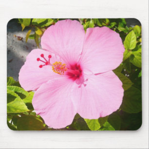 Roze Hibiscus Tropische Bloem Muismat