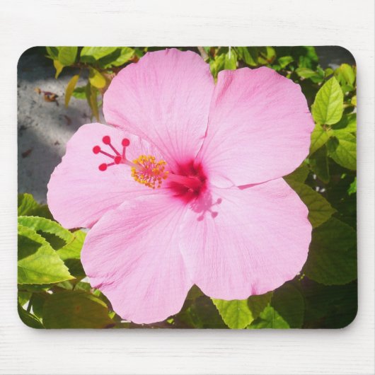Roze Hibiscus Tropische Bloem Muismat (Voorkant)