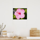 Roze Hibiscus Tropische Bloem Poster (Keuken)