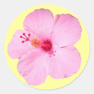 Roze Hibiscus Tropische Bloem Ronde Sticker