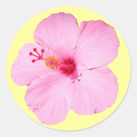 Roze Hibiscus Tropische Bloem Ronde Sticker (Voorkant)