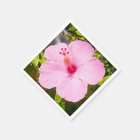 Roze Hibiscus Tropische Bloem Servetten (Hoek)