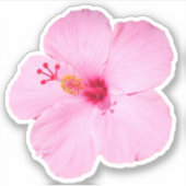 Roze Hibiscus Tropische Bloem Sticker (Voorkant)