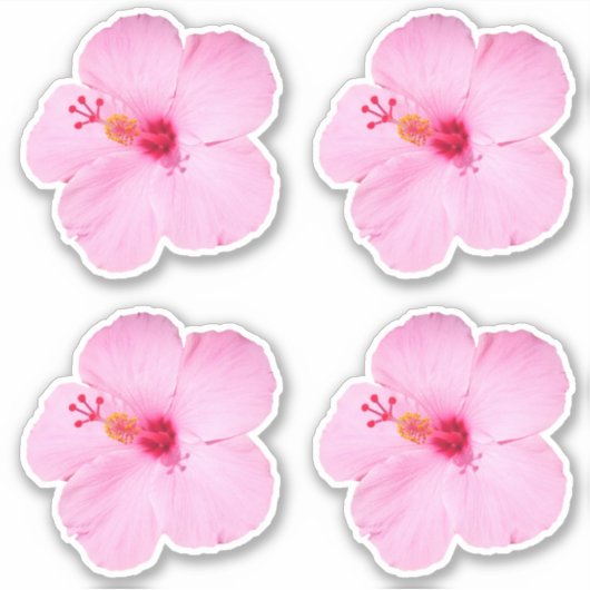 Roze Hibiscus Tropische Bloem Sticker (Voorkant)