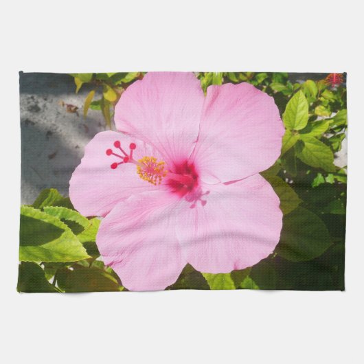 Roze Hibiscus Tropische Bloem Theedoek (Horizontaal)