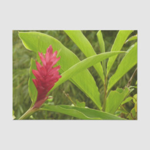 Roze Hibiscus Tropische Bloem Tissuepapier