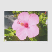 Roze Hibiscus Tropische Bloem Tissuepapier (Voorkant)