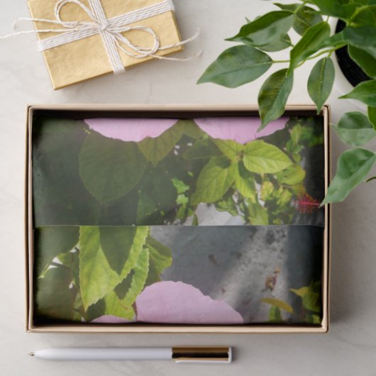 Roze Hibiscus Tropische Bloem Tissuepapier (Geschenk)