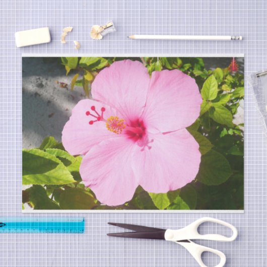 Roze Hibiscus Tropische Bloem Tissuepapier (Craft)