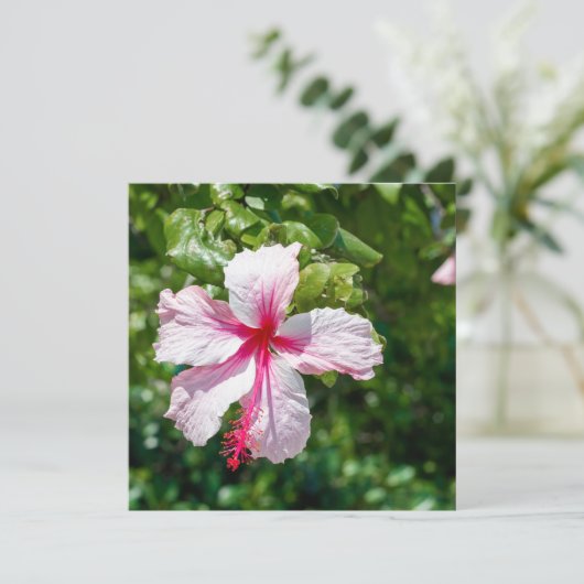 Roze Hibiscus Tropische Bloem Vergroting Dag Kaart (Staand voorkant)