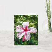 Roze Hibiscus Tropische Bloem Vergroting Dag Kaart (Voorkant)