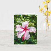 Roze Hibiscus Tropische Bloem Vergroting Dag Kaart (Gele Bloem)