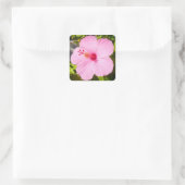 Roze Hibiscus Tropische Bloem Vierkante Sticker (Tas)