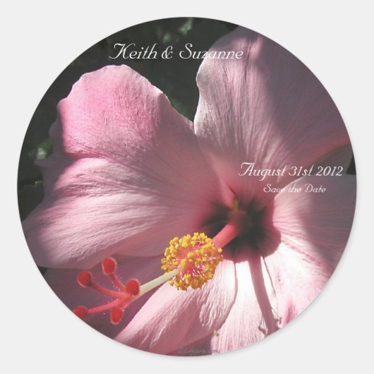 Roze Hibiscus Tropische Bloemen Envelop Afdichting Ronde Sticker (Voorkant)