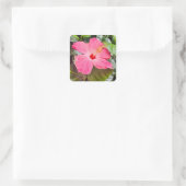 Roze Hibiscus Vierkante Sticker (Tas)