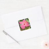 Roze Hibiscus Vierkante Sticker (Envelop)