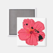 Roze hibiscus w Hawn Islands magneet (Voorkant / Achterkant)
