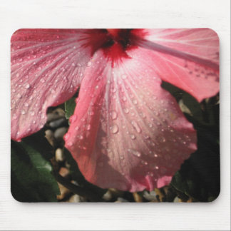 Roze Hibiscus Water Druppels Muismat