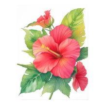 Roze Hibiscus Waterverf Bloem