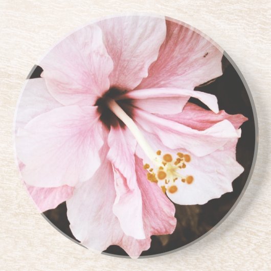 Roze Hibiscus Zandsteen Onderzetter (Voorkant)