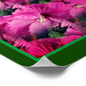Roze Hibiscusbloem Vermenigvuldigd Abstract Poster (Hoek)