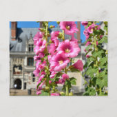 Roze hollyhocbloemen briefkaart (Voorkant)