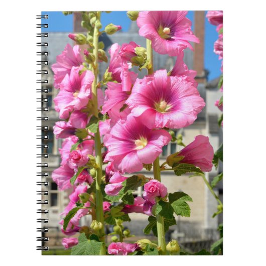 Roze hollyhocbloemen briefkaart vierkant sticker T Notitieboek (Voorkant)