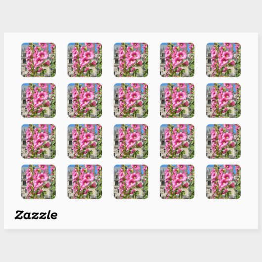 Roze hollyhocbloemen briefkaart vierkante sticker (Vel)