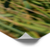 Roze hollyhocbloemen poster (Hoek)