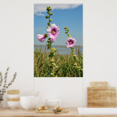 Roze hollyhocbloemen poster (Keuken)