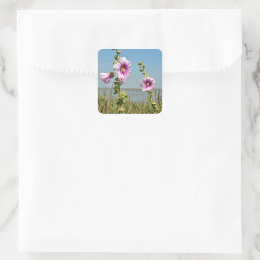 Roze hollyhocbloemen vierkante sticker (Tas)