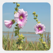Roze hollyhocbloemen vierkante sticker (Voorkant)