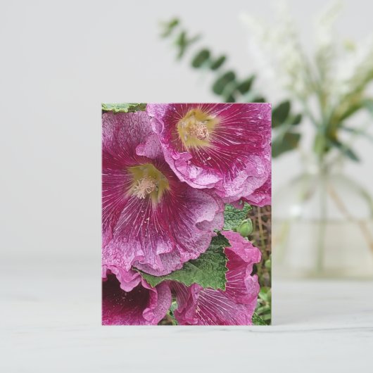 Roze hollyhock briefkaart (Staand voorkant)