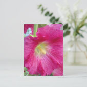 Roze Hollyhock Flower Briefkaart (Staand voorkant)