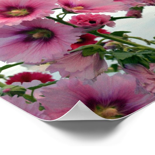 Roze Hollyhock Flowers Poster (Hoek)