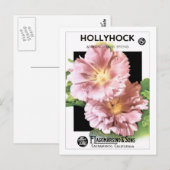roze Hollyhock Seed Packet Briefkaart (Voorkant / Achterkant)